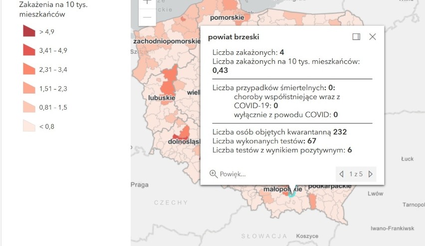 Nowe zakażenia COVID-19 w Tarnowie i sąsiednich powiatach. Najwięcej na Bocheńszczyźnie [RAPORT, 1.02]