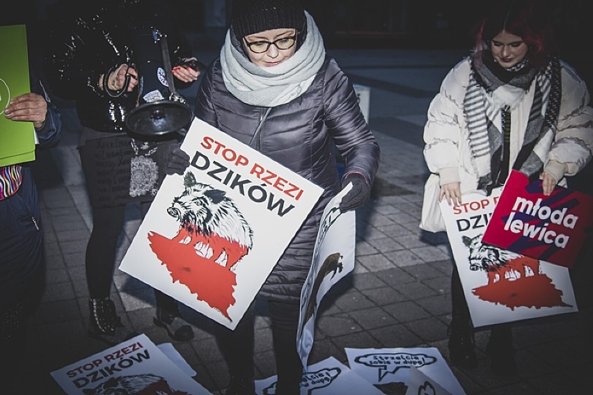 Rybnik: "Stop rzezi dzików". Protest ekologów na rynku w...