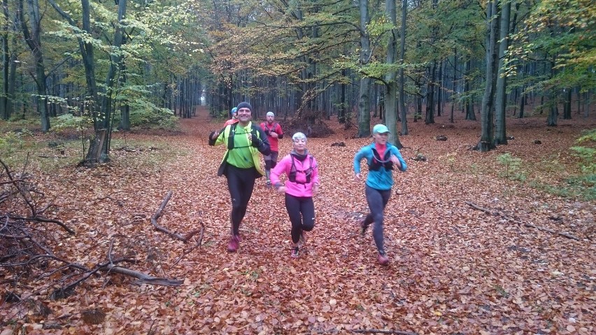 Jaworzno Trail Running. Grupa pobiegła i zwiedzała Bukowno