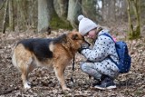 Sejny. Brakuje chętnych do adopcji psów. Na nowy dom czeka 200 czworonogów