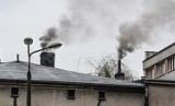 Koniec palenia węglem w Warszawie i okolicach. Przyjęto nowelizację uchwały antysmogowej. Od kiedy będzie obowiązywać zakaz?