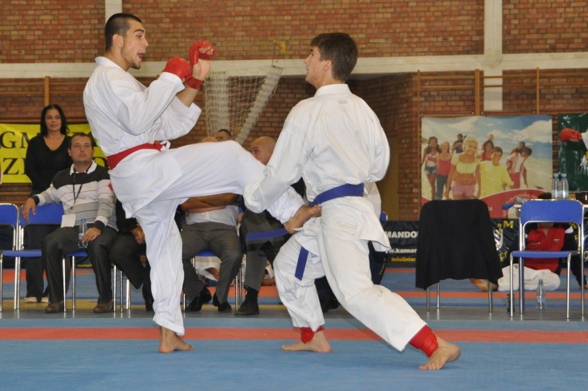 XV Mistrzostwa Świata w Karate Shotokan FSKA Żukowo 2013 -...