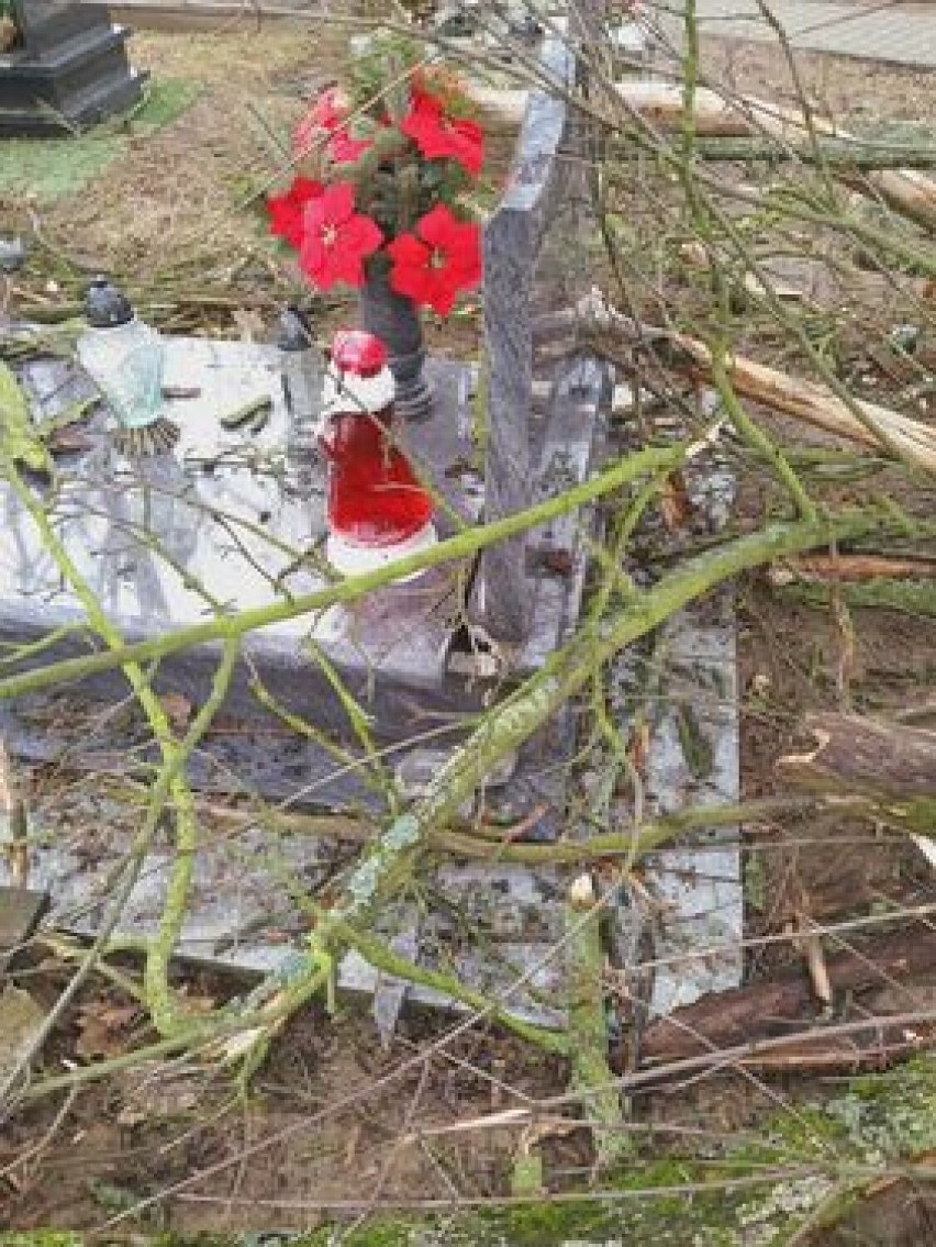 Silny wiatr w Gnieźnie. Poprzewracane drzewa na cmentarzu św. Piotra