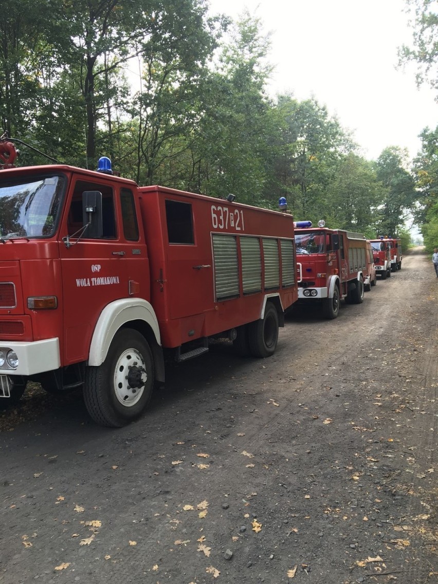 Strażackie ćwiczenia w gminie Goszczanów. Szkoliło się blisko 100 druhów OSP