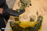Policjanci z Krosna Odrzańskiego zatrzymali do kontroli 25-latka. Znaleźli narkotyki w samochodzie, a później w jego mieszkaniu