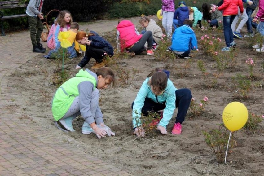 Zasadzili "Pola Nadziei" już po raz 15. przy żorskim hospicjum - ZDJĘCIA