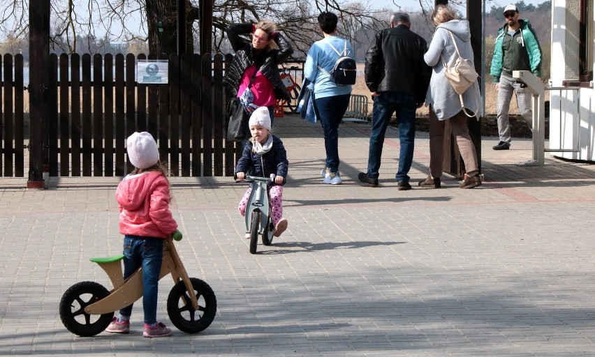 Grudziądzanie wskoczyli na rowery i wypoczywają nad Jeziorem Rudnickim Wielkim. Zobacz zdjęcia