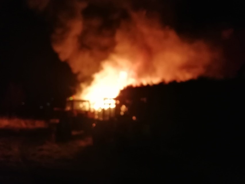 Pożar w Wągrowcu. Policja i straż podają szczegóły tego zdarzenia 