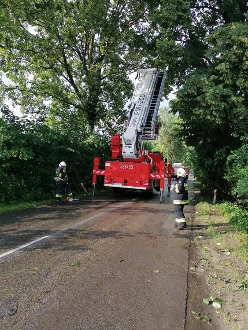 Ulewy i wichury w powiecie gdańskim. Powalone drzewa, zabezpieczenie dachu - strażacy mieli co robić |ZDJĘCIA