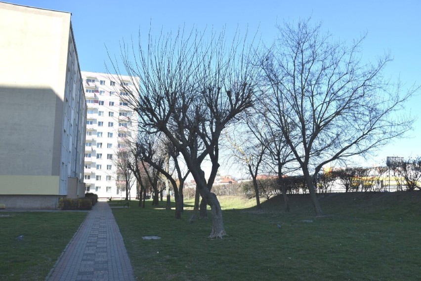 Decyzja środowiskowa dla przebudowy DK 22 w Malborku