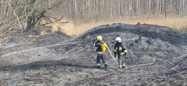 Zobacz kolejne zdjęcia. Przesuwaj zdjęcia w prawo - naciśnij strzałkę lub przycisk NASTĘPNE