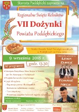 VII Dożynki Powiatu Poddębickiego z gwiazdami disco polo - zespołem Lider Dance i Tomaszem Niecikiem już w niedzielę