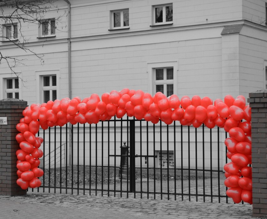 Balonowa brama na walentynki w Grodzisku. Do wygrania sesja zdjęciowa dla zakochanych