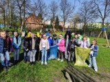 „Sprzątamy dla Polski”. Uczniowie Szkoły Podstawowej nr 3 w Pleszewie zadbali o czystość najbliższej okolicy
