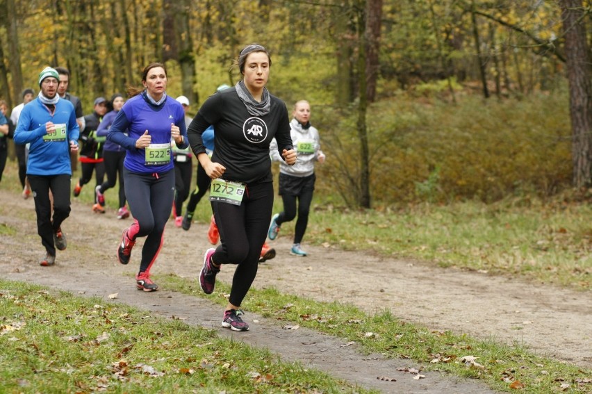 Bieg CITY TRAIL w Warszawie. Biegłeś? Szukaj się w galerii!...