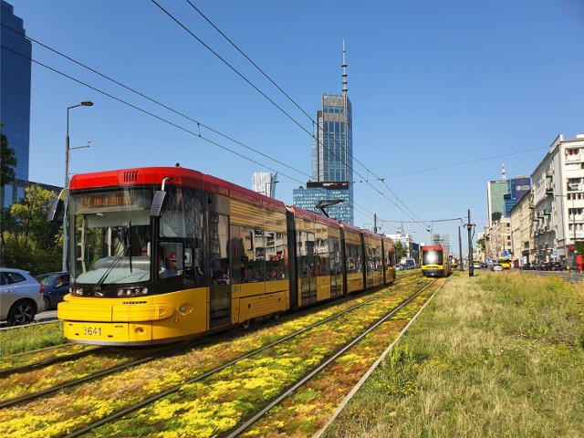 Zielone torowiska pojawią się w centrum