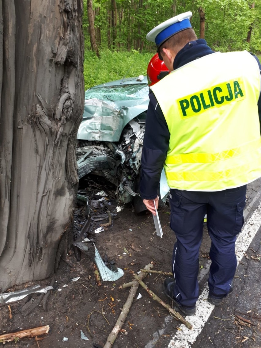 Wypadek na Miłosnej. 44-latka uderzyła samochodem w drzewo, w akcji śmigłowiec LPR [ZDJĘCIA]