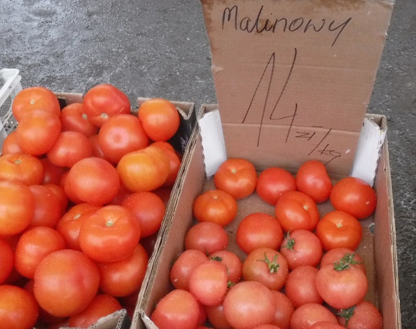 Pomidory malinowe 14 złotych kilogram