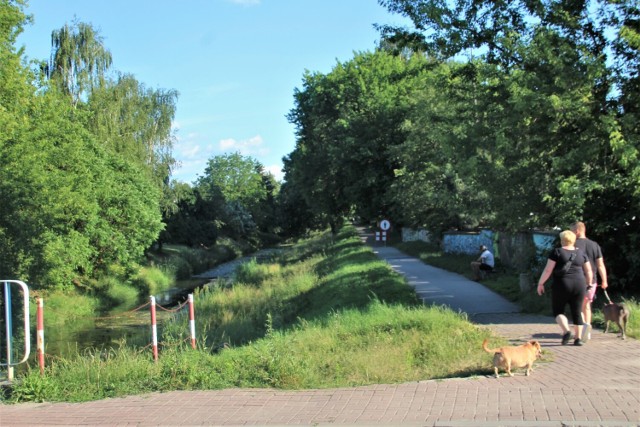 - Ta rzeka powinna być czysta, ładna, sprzyjająca wypoczynkowi. Jej odpowiednia konserwacja musi się odbywać przynajmniej kilka razy do roku. A już na pewno zawsze, gdy jest taka potrzeba. Teraz ona jest – przekonuje jeden ze spacerowiczów