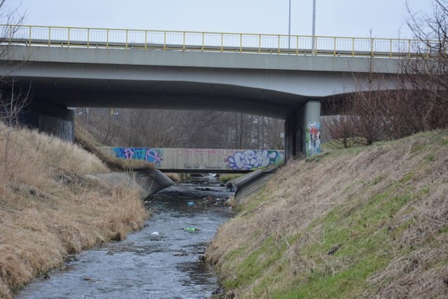 Poznań ekologiczny - zobacz więcej