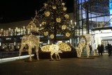 Galerię Posnania rozświetli prawie milion świątecznych światełek. Uruchomienie iluminacji uświetni koncert i otwarcie lodowiska