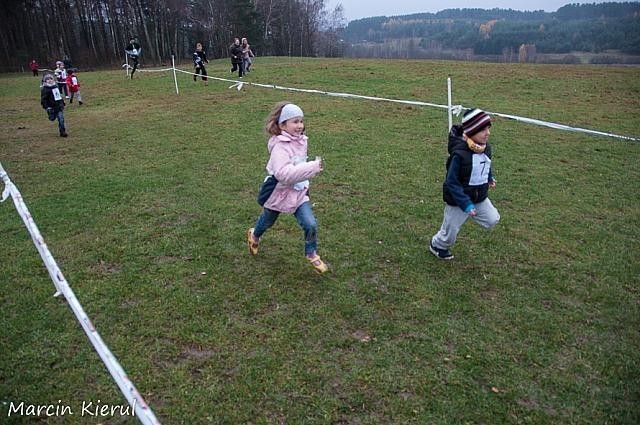 XIV Niepodległościowy Bieg Przełajowy koło Olsztyna [zdjęcia]