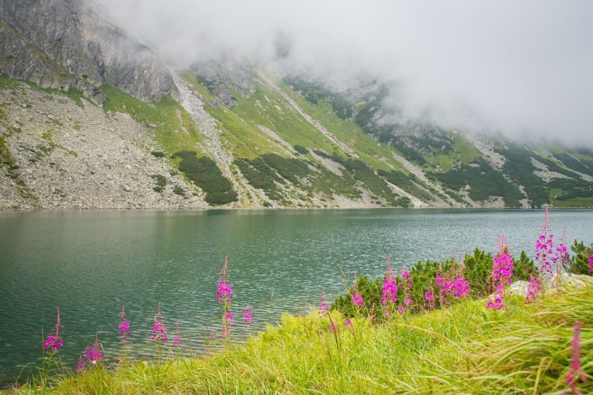 Tatry. Na Hali Gąsienicowej widać już zbliżającą się jesień. Zobaczcie jak piękna jest już teraz 