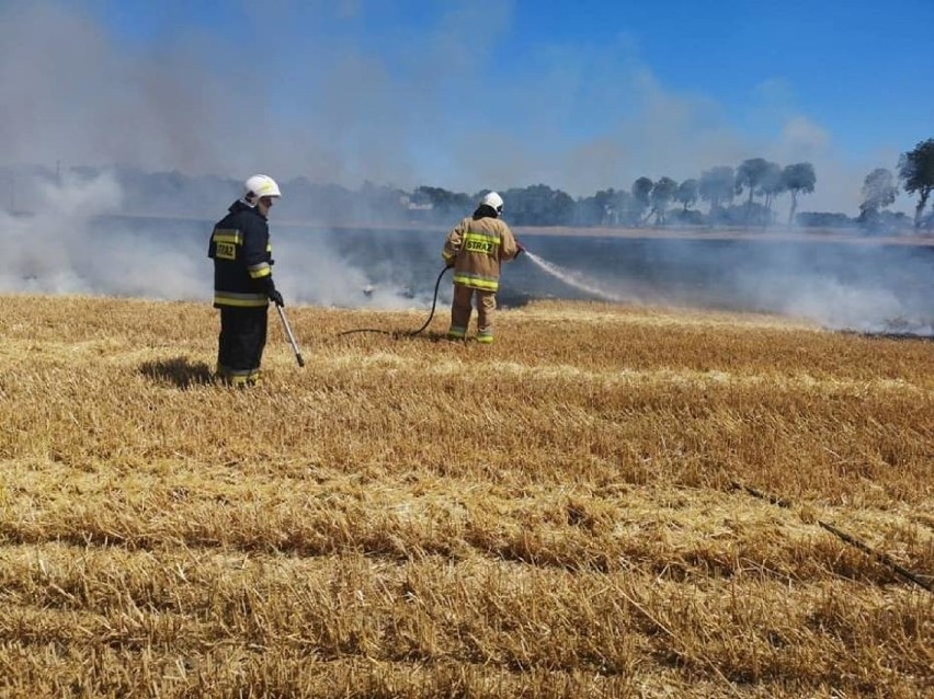 Potężny pożar pod Gierowem. Spaliło się ponad 40 hektarów...