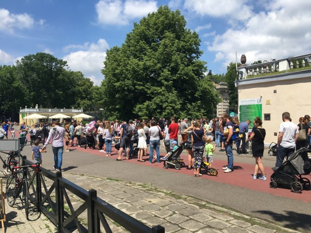 Śląski Ogród Zoologiczny przeżywał prawdziwe oblężenie, przy kasach ustawiały się olbrzymie kolejki