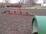 W Bydgoszczy powstał psi park. Czy trawniki i chodniki będą czyste?