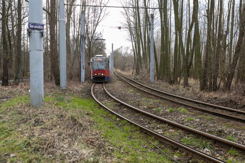 Robi się zamieszanie wokół linii tramwajowej do Łęgnowa....