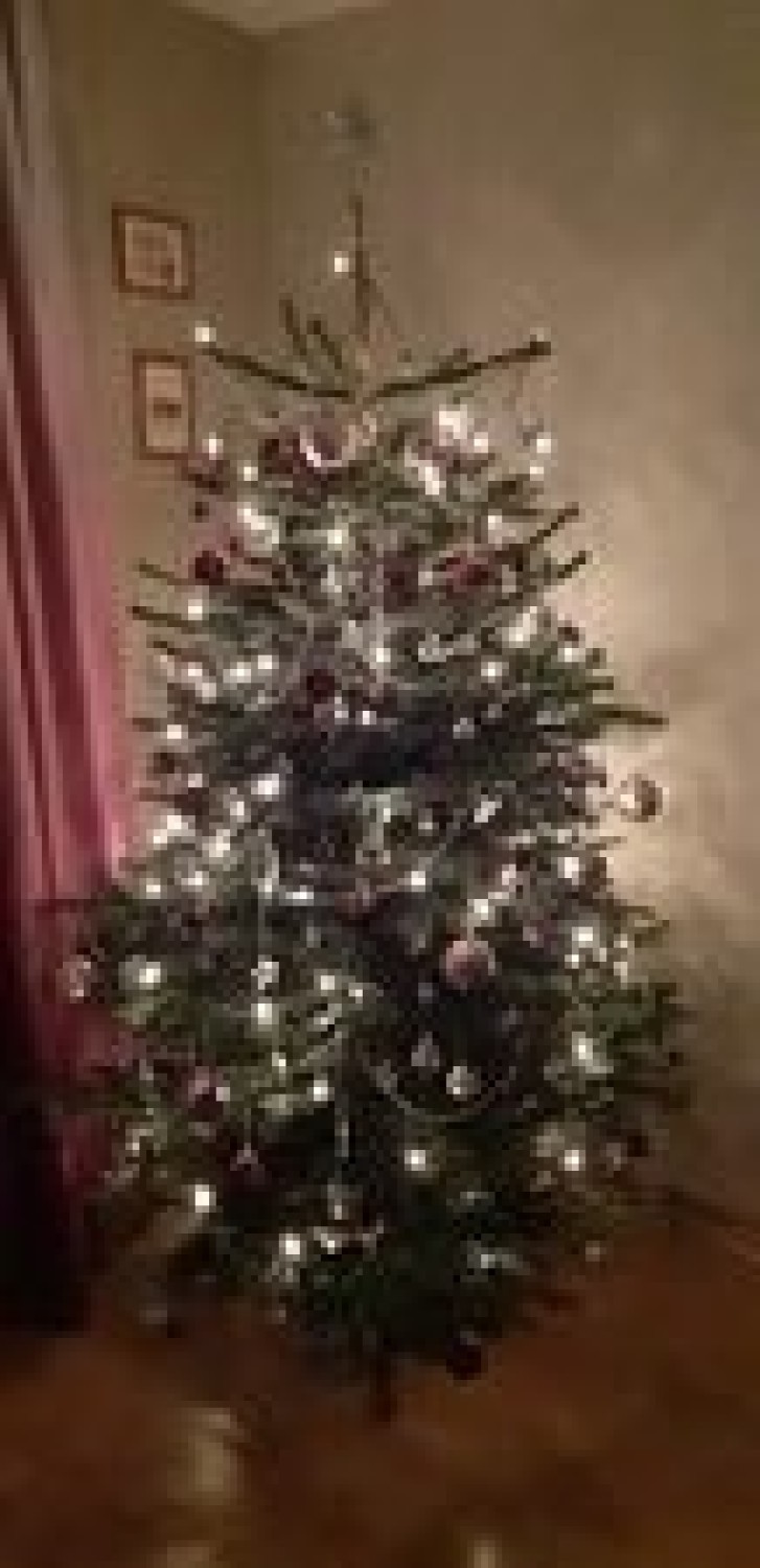 Mieszkańcy województwa lubelskiego ubrali już choinki! Zobacz zdjęcia świątecznych drzewek, nadesłane przez Czytelników z Puław i Świdnika