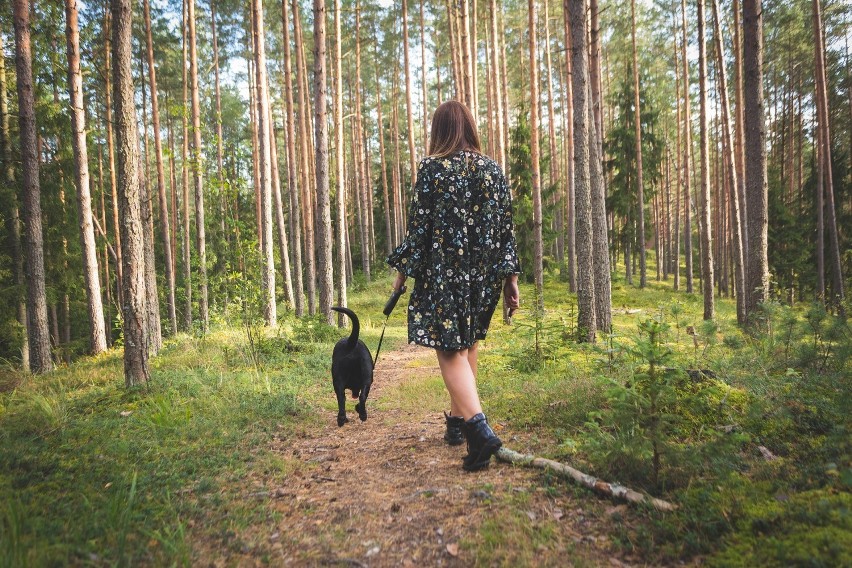 Zarząd Oczyszczania Miasta przypomina: "Posprzątaj po swoim psie"