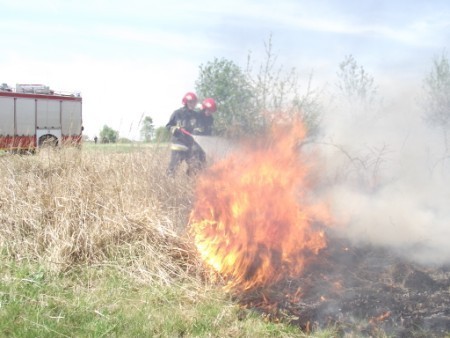 Powiat Ostrowski: Przez 19 godzin strażacy walczyli z ogniem [ZDJĘCIA]