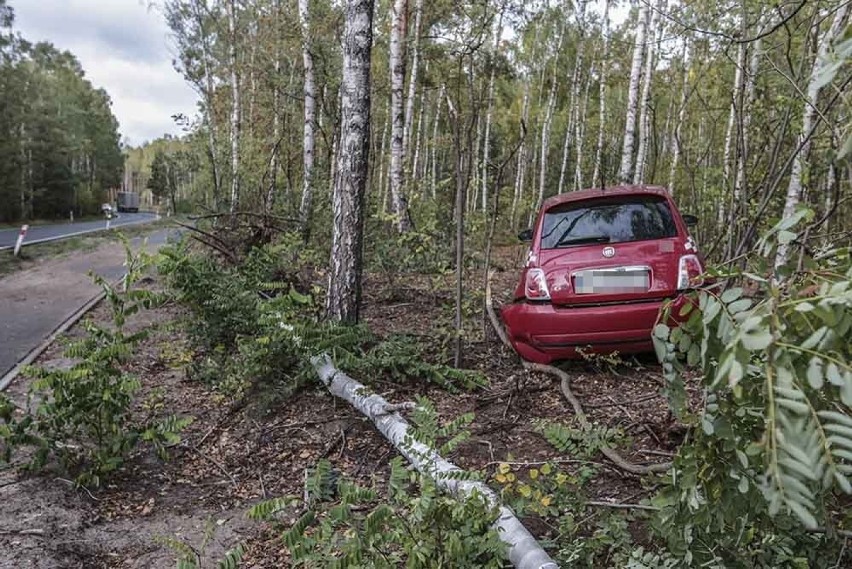 Wypadek pod Zieloną Górą. Fiat rozbił się o drzewa. Ranna młoda kierująca [ZDJĘCIA]