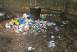 Nadleśnictwo Wolsztyn wciąż walczy z podrzucającymi śmieci w lasach
