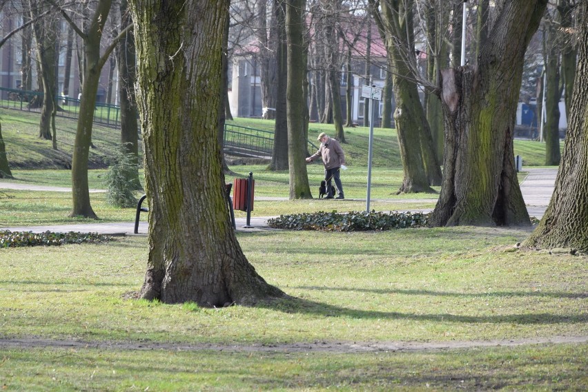 Lockdown w Wieluniu. Tak wyglądało miasto w słoneczne...