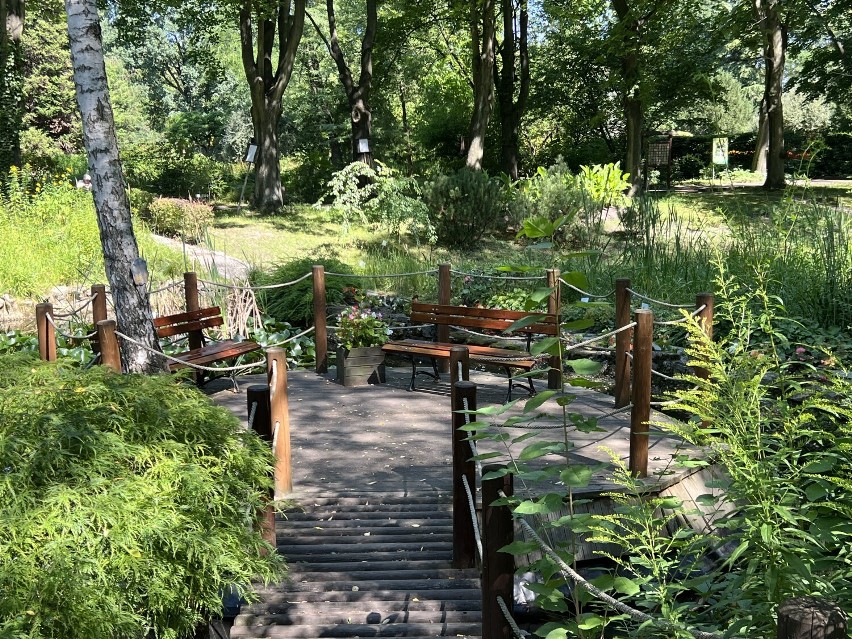 Magiczne miejsce w centrum Zabrza. Zaczarowany ogród czeka na odwiedzających! Zabrzański Ogród Botaniczny to piękne miejsce. Mamy ZDJĘCIA