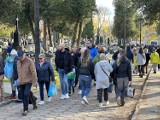 Wszystkich Świętych2023 w Częstochowie na cmentarzu Kule. Tłumy ludzi. Kwesta na zabytkowe nagrobki - ZDJĘCIA