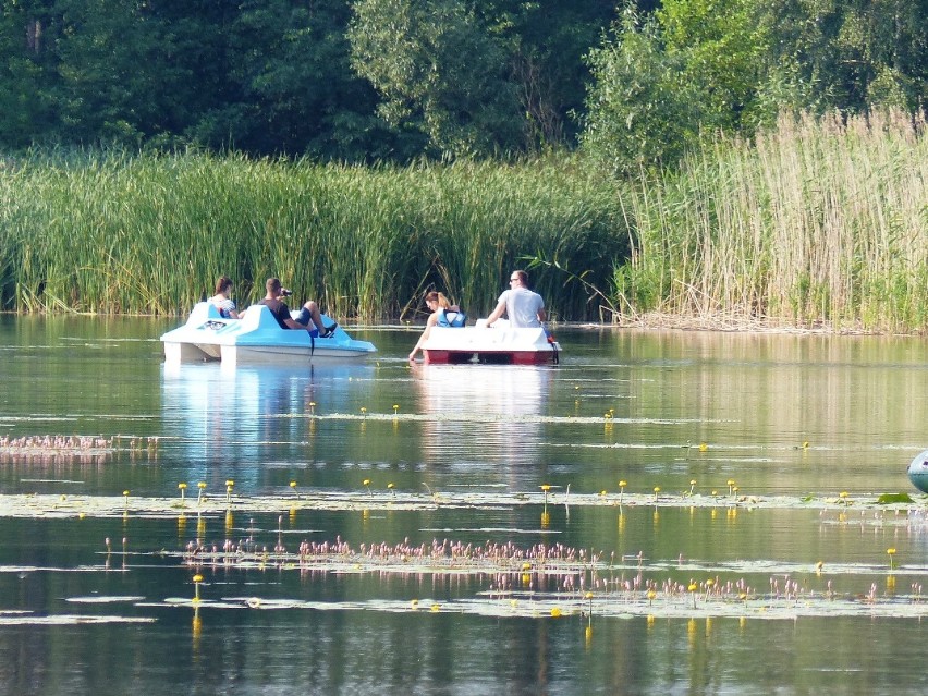 Wypoczynek nad Próbą