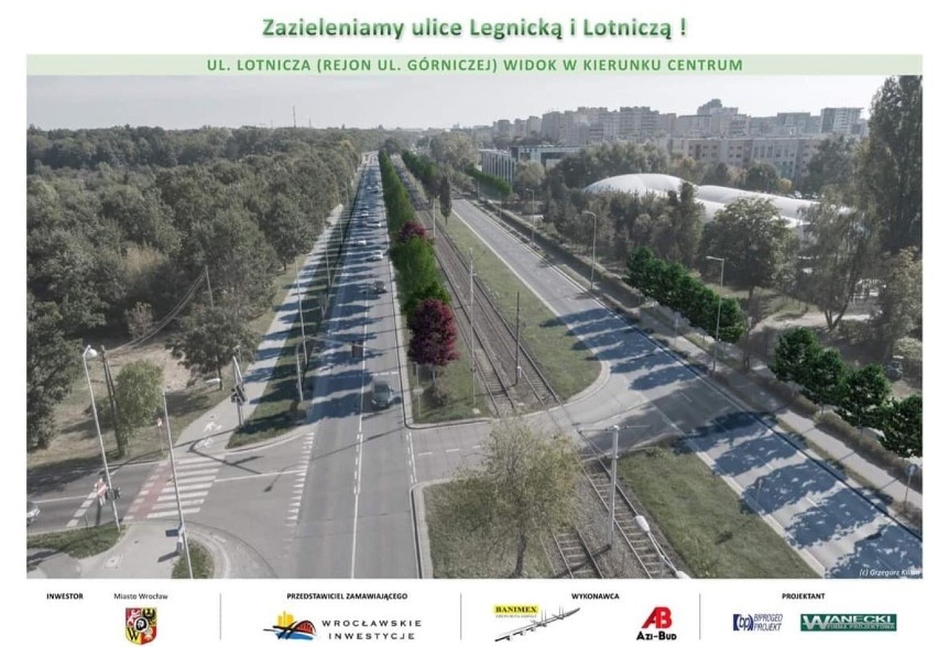Ul. Legnicką i Lotniczą ozdobią 932 drzewa z 16 gatunków,...