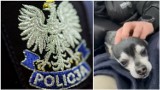 Policjanci z Sosnowca i Zabrza uratowali małego pieska. Będąc po służbie zajęli się nim w Ogrodzieńcu 