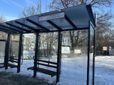 Nowe przystanki w Sandomierzu cieszą oczy, jednak brakuje na nich niezbędnego wyposażenia? O co proszą pasażerowie? 