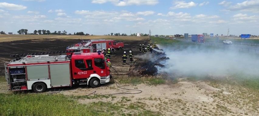 Strażacy walczyli dziś z ogniem między innymi w Lisewie