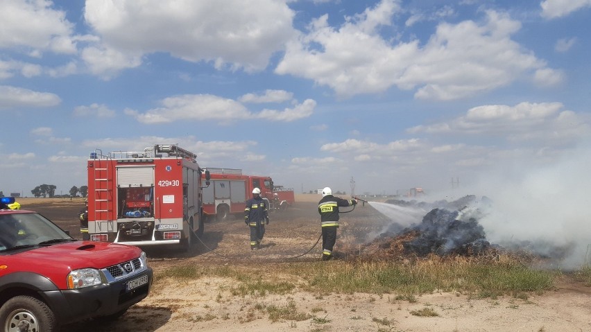 Strażacy walczyli dziś z ogniem między innymi w Lisewie