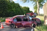 Wypadek drogowy na trasie Śrem - Zaniemyśl. BMW uderzyło w drzewo