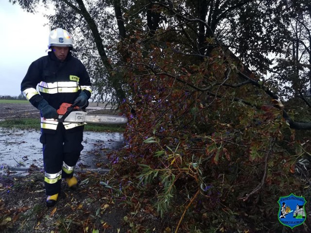 Po wichurze strażacy interweniowali w powiecie chełmińskim niemal 40 razy