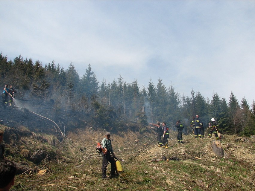 Duży pożar lasu przy granicy polsko-słowackiej, na szlaku ze Zwardonia na Wielką Raczę [FILM+FOTO]