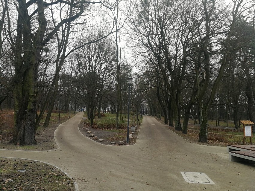 Park Tysiąclecia w Toruniu zdewastowany! Zrewitalizowano go...