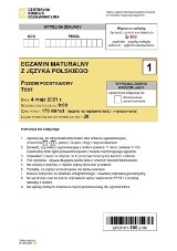 Matura podstawowa język polski. Arkusze, odpowiedzi, tematy rozprawek. Co było na maturze z polskiego w poprzednich latach?